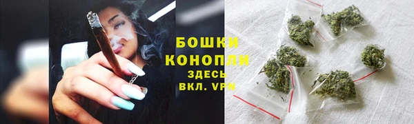 бутират Белокуриха