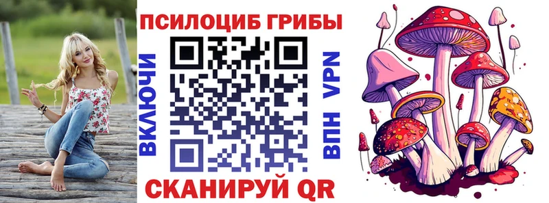 Галлюциногенные грибы Cubensis как найти закладки Великий Устюг