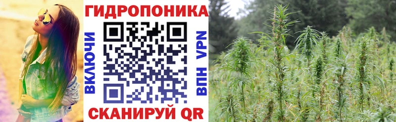 Канабис марихуана  что такое   Великий Устюг 